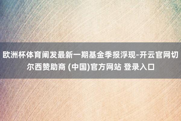 欧洲杯体育阐发最新一期基金季报浮现-开云官网切尔西赞助商 (中国)官方网站 登录入口