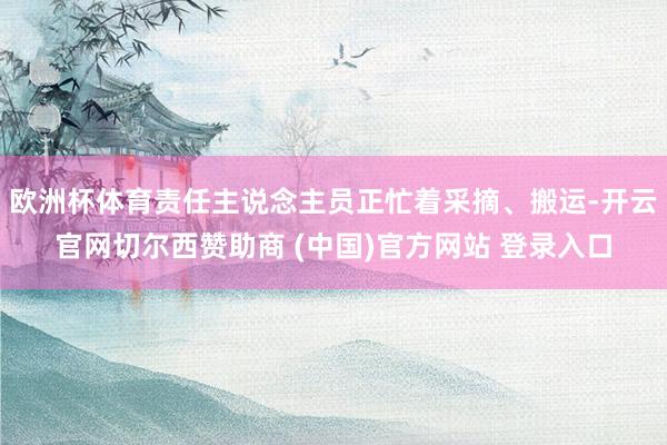 欧洲杯体育责任主说念主员正忙着采摘、搬运-开云官网切尔西赞助商 (中国)官方网站 登录入口