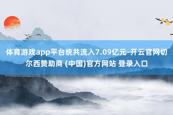 体育游戏app平台统共流入7.09亿元-开云官网切尔西赞助商 (中国)官方网站 登录入口