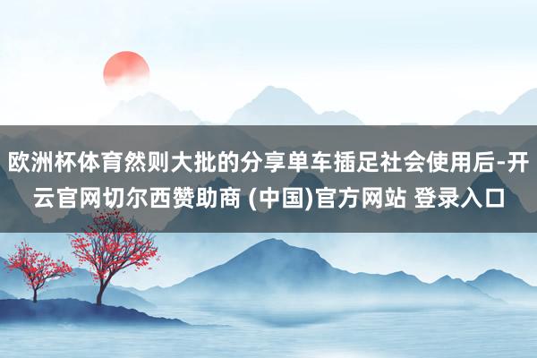 欧洲杯体育然则大批的分享单车插足社会使用后-开云官网切尔西赞助商 (中国)官方网站 登录入口