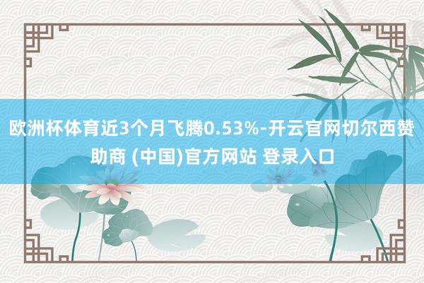 欧洲杯体育近3个月飞腾0.53%-开云官网切尔西赞助商 (中国)官方网站 登录入口