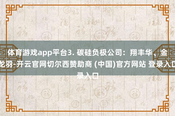 体育游戏app平台3. 碳硅负极公司：翔丰华、金龙羽-开云官网切尔西赞助商 (中国)官方网站 登录入口