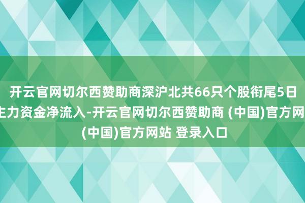 开云官网切尔西赞助商深沪北共66只个股衔尾5日或5日以上主力资金净流入-开云官网切尔西赞助商 (中国)官方网站 登录入口