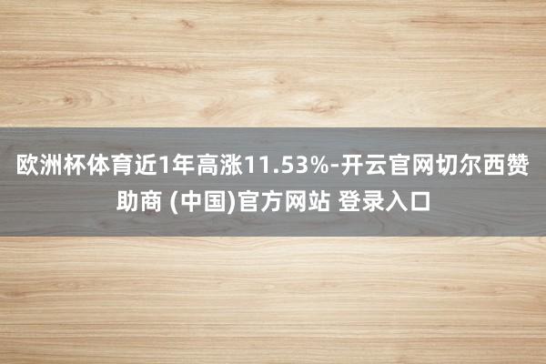 欧洲杯体育近1年高涨11.53%-开云官网切尔西赞助商 (中国)官方网站 登录入口