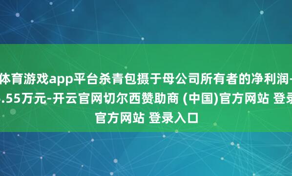 体育游戏app平台杀青包摄于母公司所有者的净利润-6376.55万元-开云官网切尔西赞助商 (中国)官方网站 登录入口
