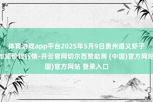 体育游戏app平台2025年5月9日贵州遵义虾子辣椒批发市集价钱行情-开云官网切尔西赞助商 (中国)官方网站 登录入口