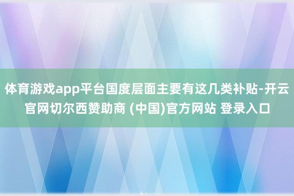 体育游戏app平台国度层面主要有这几类补贴-开云官网切尔西赞助商 (中国)官方网站 登录入口