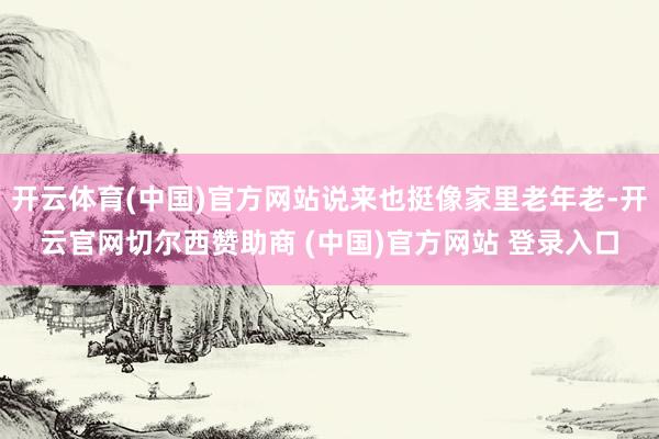 开云体育(中国)官方网站说来也挺像家里老年老-开云官网切尔西赞助商 (中国)官方网站 登录入口