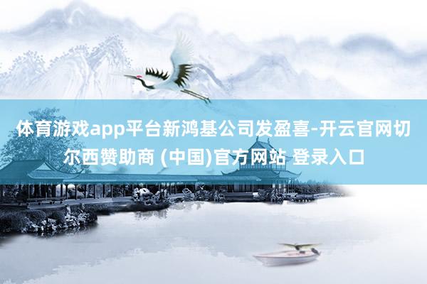 体育游戏app平台 新鸿基公司发盈喜-开云官网切尔西赞助商 (中国)官方网站 登录入口