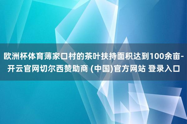 欧洲杯体育薄家口村的茶叶扶持面积达到100余亩-开云官网切尔西赞助商 (中国)官方网站 登录入口