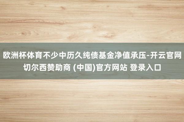 欧洲杯体育不少中历久纯债基金净值承压-开云官网切尔西赞助商 (中国)官方网站 登录入口