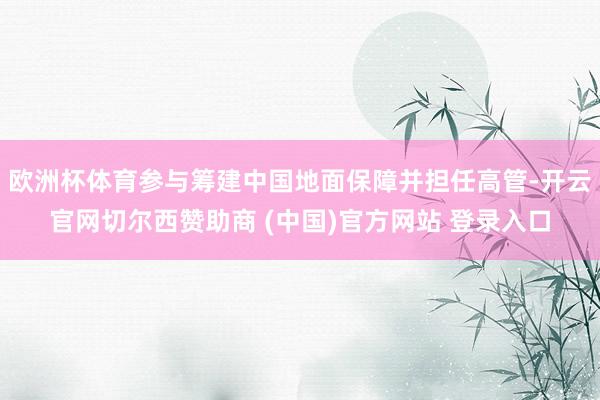 欧洲杯体育参与筹建中国地面保障并担任高管-开云官网切尔西赞助商 (中国)官方网站 登录入口