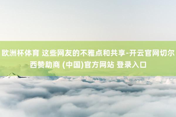 欧洲杯体育 这些网友的不雅点和共享-开云官网切尔西赞助商 (中国)官方网站 登录入口